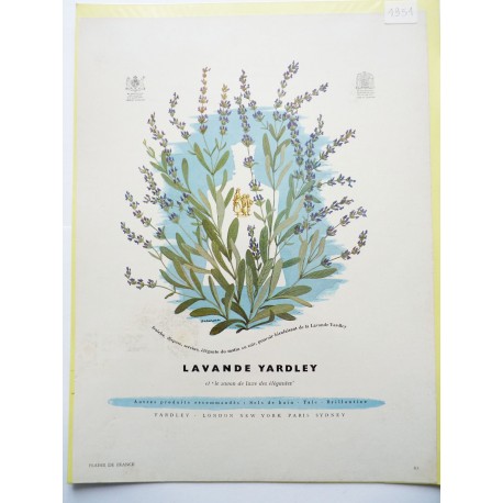 Ancienne publicité originale couleur Lavande de Yardley  Illustration de Bravura 1951