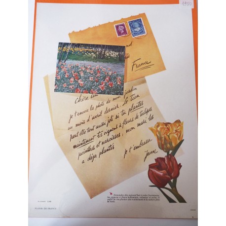 Ancienne publicité originale couleur pour les fleurs de Hollande 1950