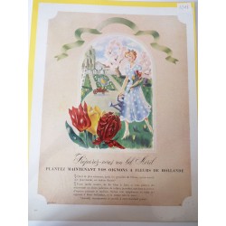 Ancienne publicité originale couleur pour les fleurs de Hollande 1948