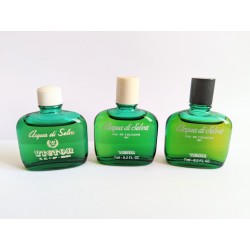 Lot de 3 miniatures de parfum Acqua di Selva de Victor