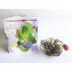 Coffret Le Fruit Défendu de Lolita Lempicka