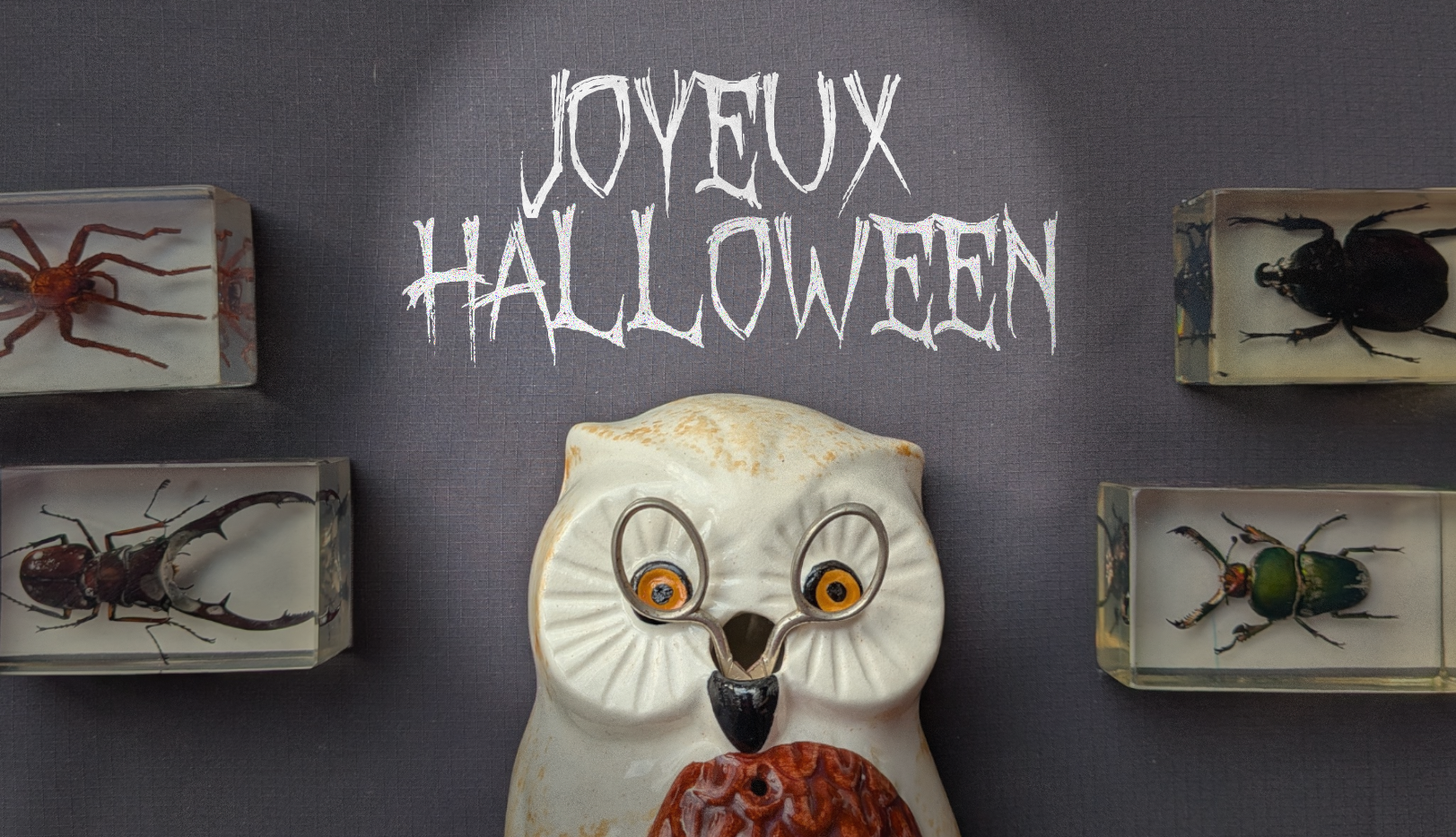 Sélection Halloween